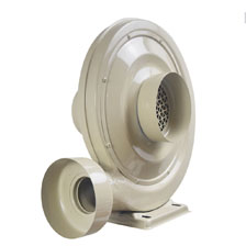 Quạt Con Sò Maya Fan