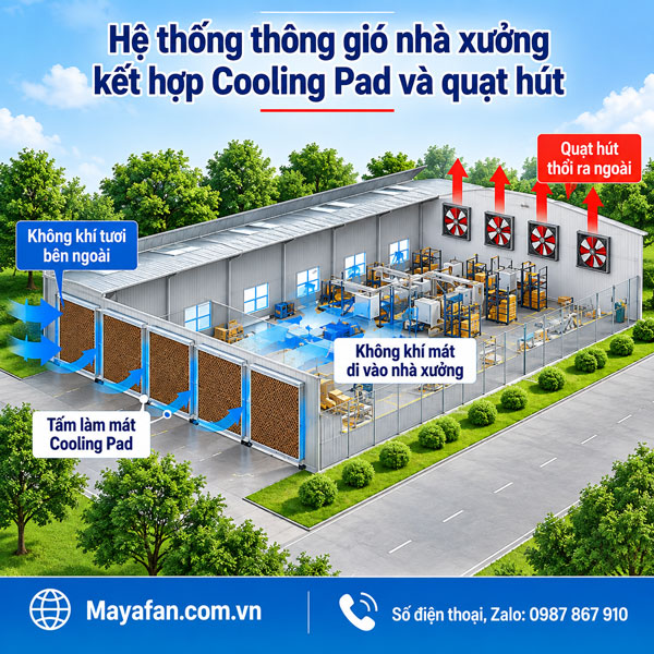 hệ thống cooling pad kết hợp quạt hút nhà xưởng