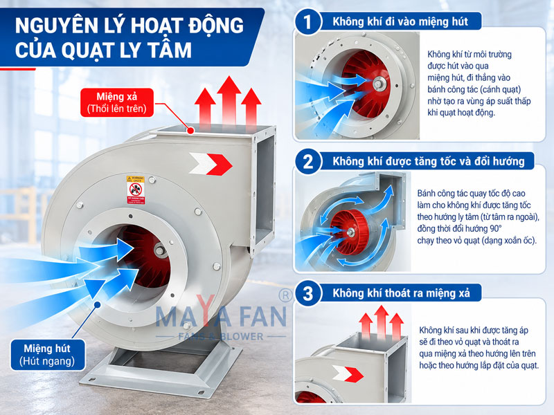 Nguyên lý hoạt động của quạt ly tâm.