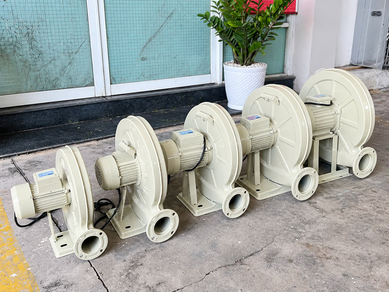 Quạt con sò Maya Fan